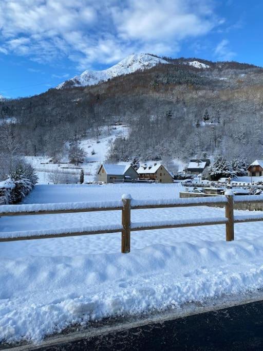 Vignec/Saint-Lary - T2 Cosy Avec Balcon & Piscine Apartman Kültér fotó